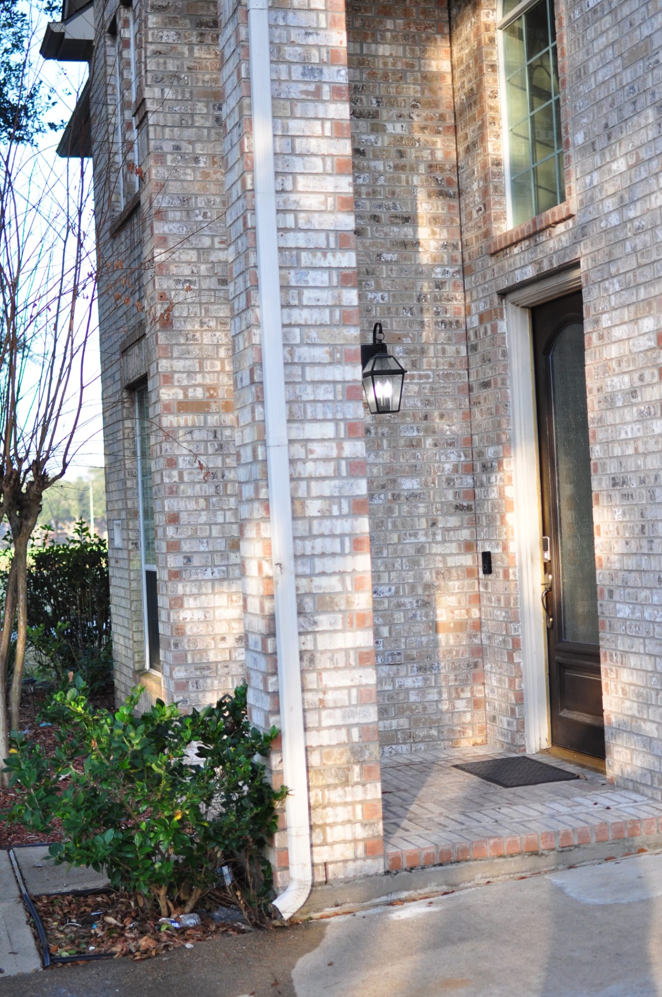 Refreshed Oasis Homes Environment